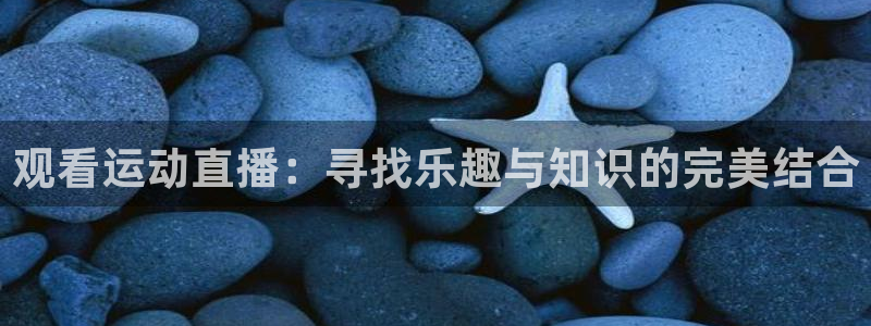 观看运动直播：寻找乐趣与知识的完美结合