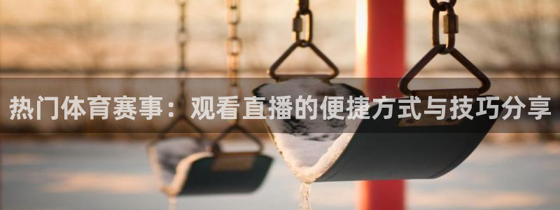 热门体育赛事：观看直播的便捷方式与技巧分享