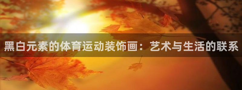 黑白元素的体育运动装饰画：艺术与生活的联系