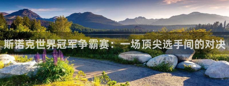 新闻图片